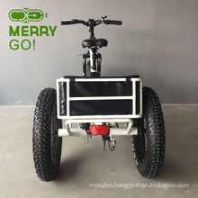 Fat Tire and Lithium Battery Electric Tricycle with Alloy Frame